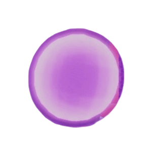 Grand Piece Online Shop SP Reset Essence(gift)