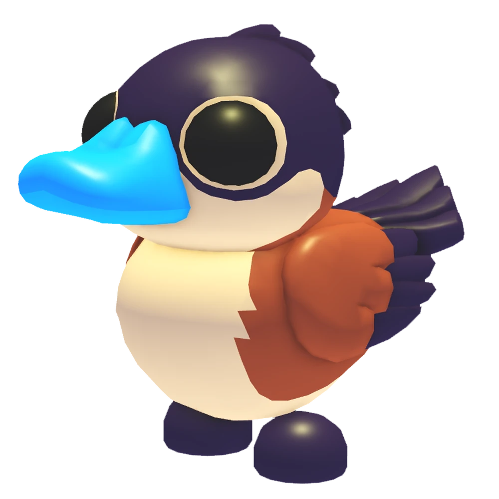 Ruddy Duck's Appearance Design