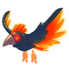 Storm Condor