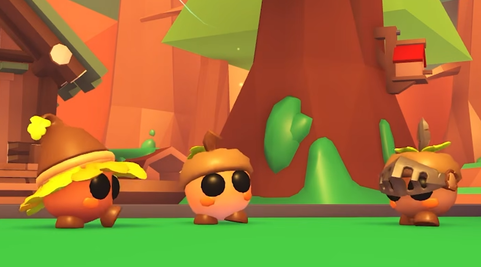 new box pets