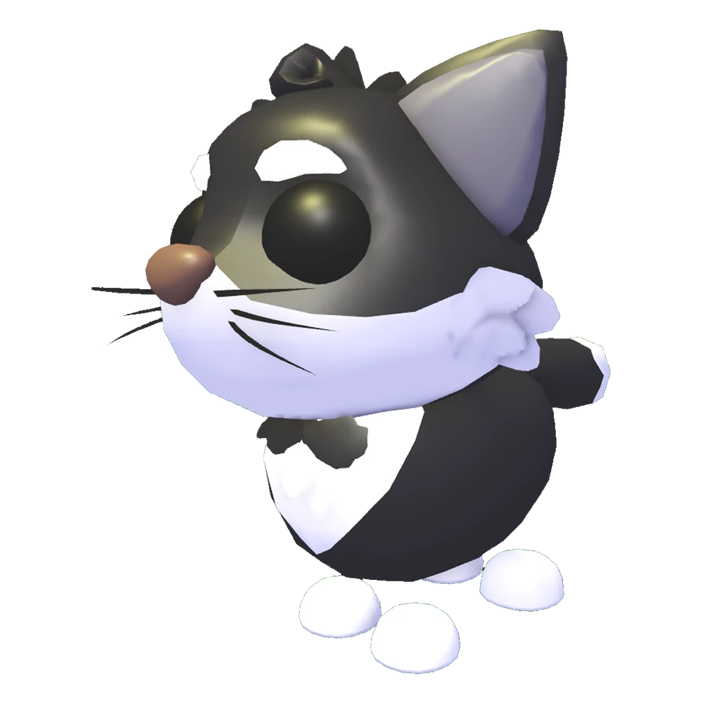 tuxedo cat